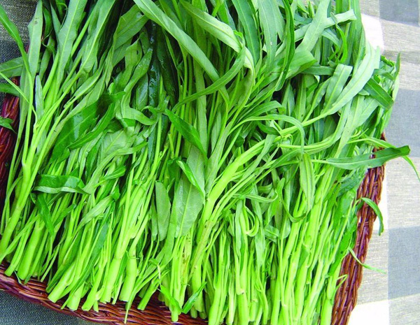 267f9e0bfa62ecf14975207f0421b4da.jpg 267f9e0bfa62ecf14975207f0421b4da.jpg