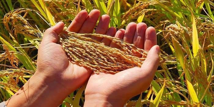 84fa5f4dfa778fd7d8ba6023b41aaf90.jpeg 84fa5f4dfa778fd7d8ba6023b41aaf90.jpeg