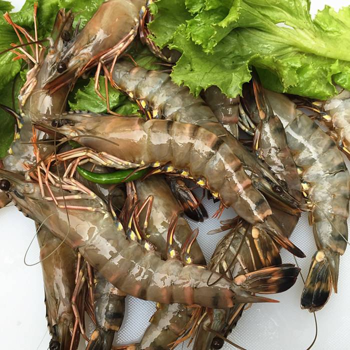 015336aa2ccbcd5b84c22861334cf633.jpeg 015336aa2ccbcd5b84c22861334cf633.jpeg