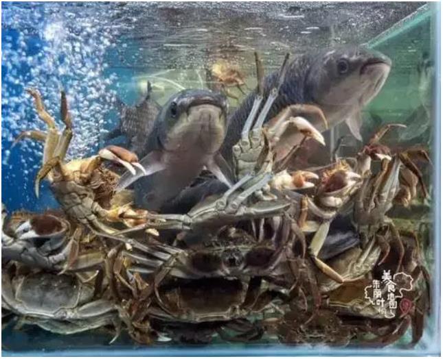 微信截图_20230614094010.jpg 微信截图_20230614094010.jpg