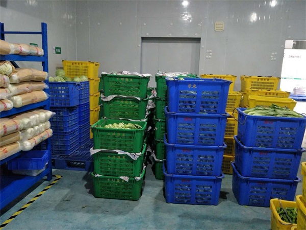 东莞蔬菜配送分析单位食堂蔬菜采购如何提高采购效率?