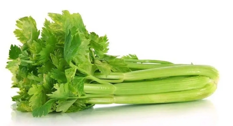送菜公司分享如何正确挑选西芹