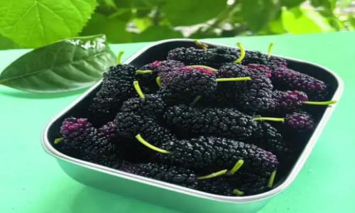 适合秋季食用的水果