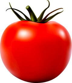 西红柿生吃好,还是熟吃好
