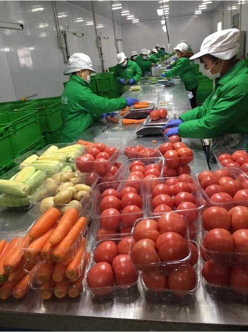 专业.jpg 专业.jpg