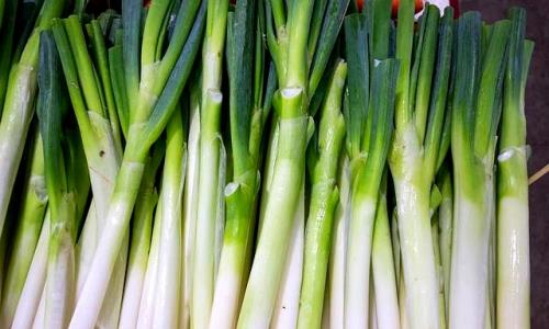 食材公司分享如何挑选好的大葱