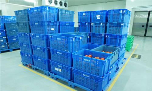 深圳送菜分享蔬菜食品的存放标准‌