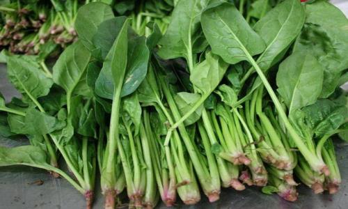 深圳送菜公司分享如何有效清除蔬菜生鲜农药残留