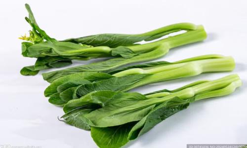 瓜茄类蔬菜，雨天挑选重点看“手感”和“色泽”